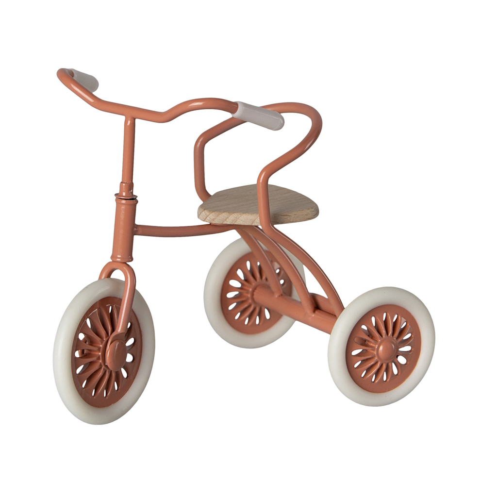 Tricycle for mouse coral & bike basket 2024
