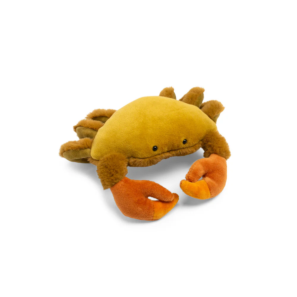Autour du monde large crab