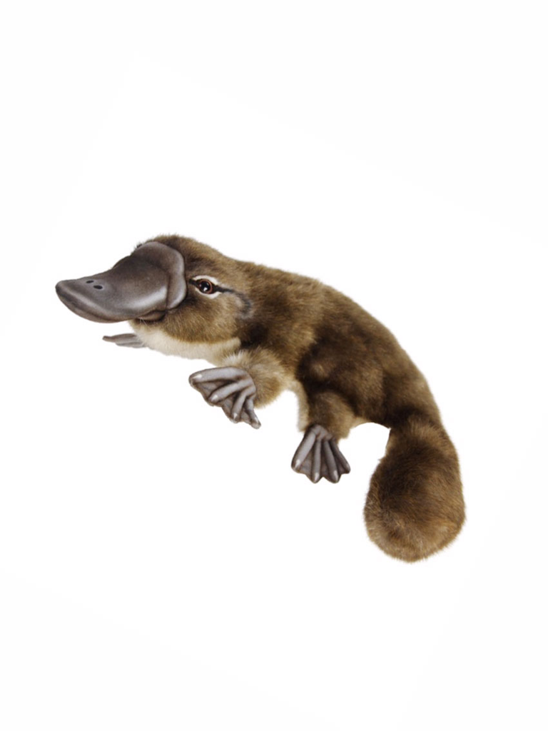 Platypus Hand Puppet 51cm L