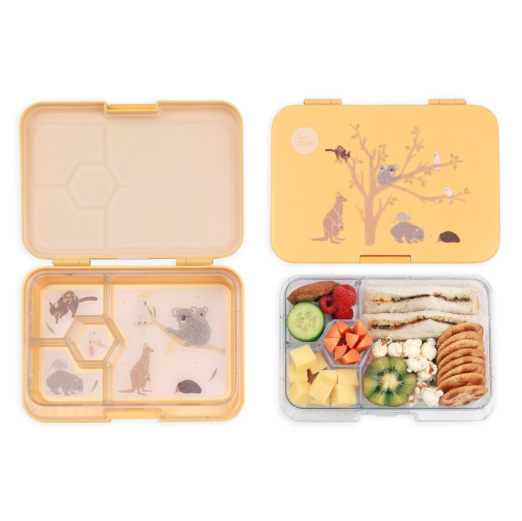 Australiana Lunch Bento Box