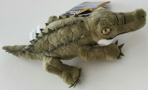 Baby Crocodile