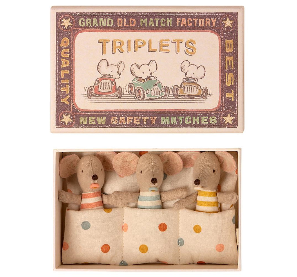 Baby Mice Triplets in Box