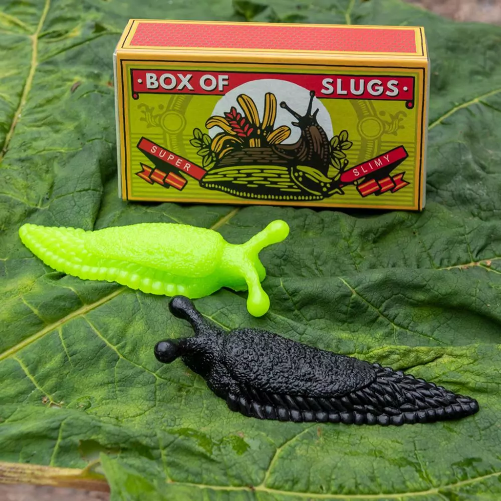 Creepy Crawlies -  Box of two slimy slugs
