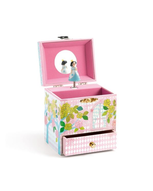 Delighted Palace Music Box