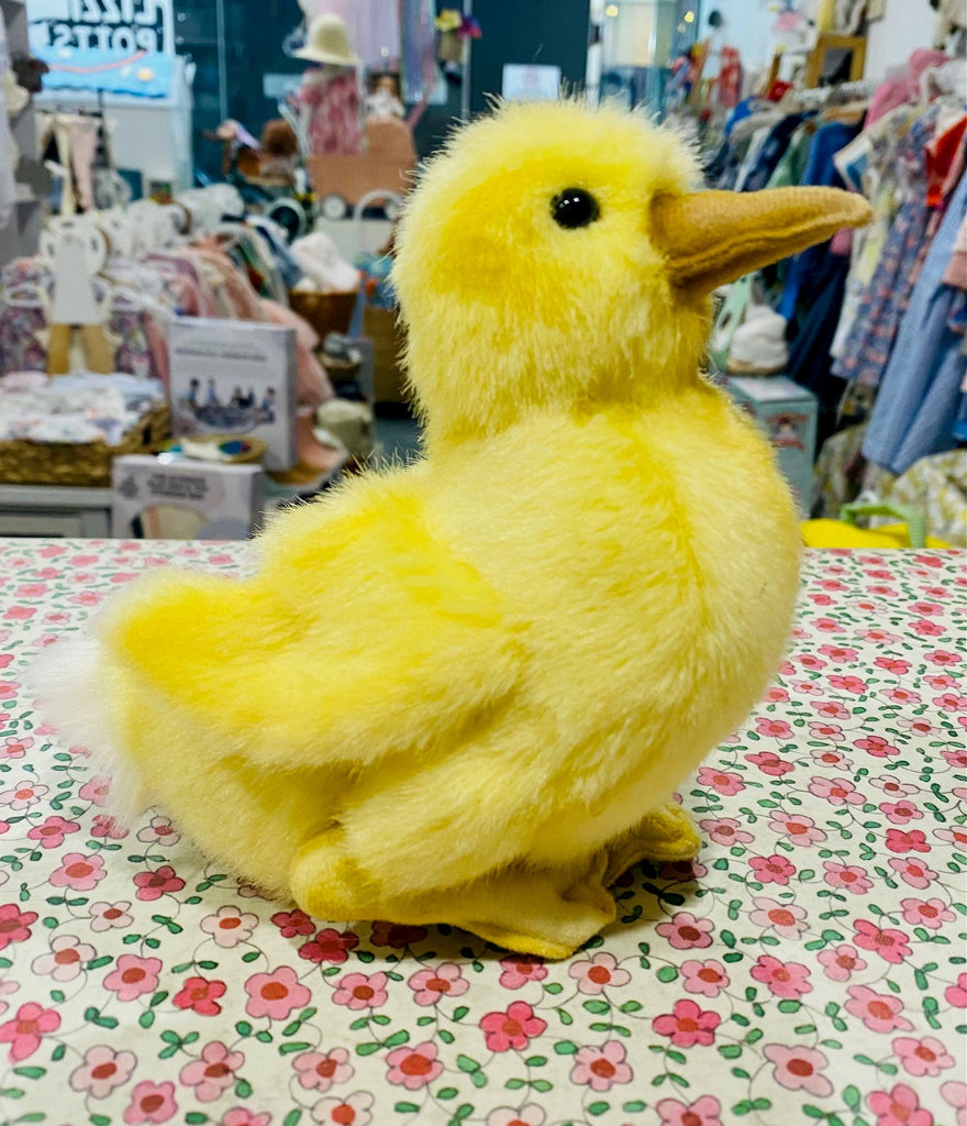 Duckling White Tailed (20cm)