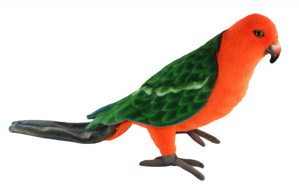King Parrot 19cm