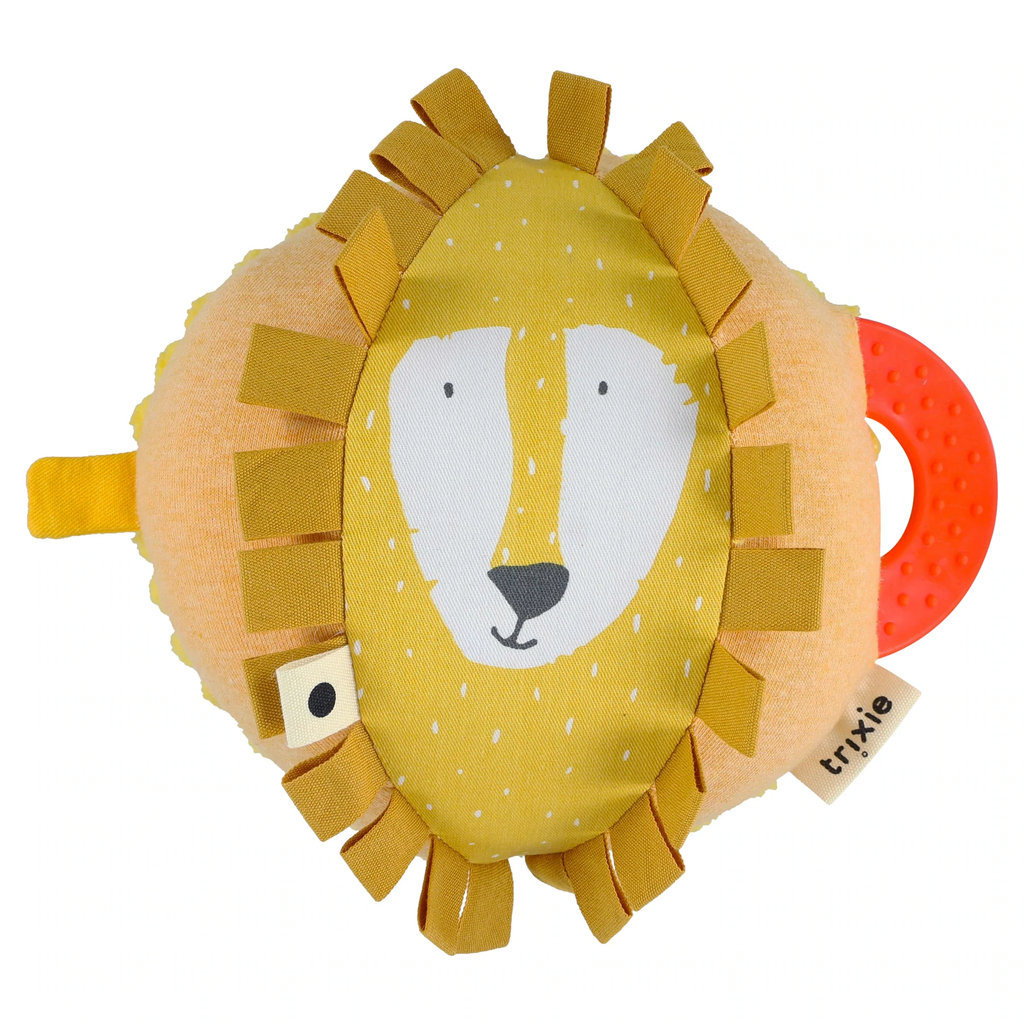 Mr Lion Activity Ball