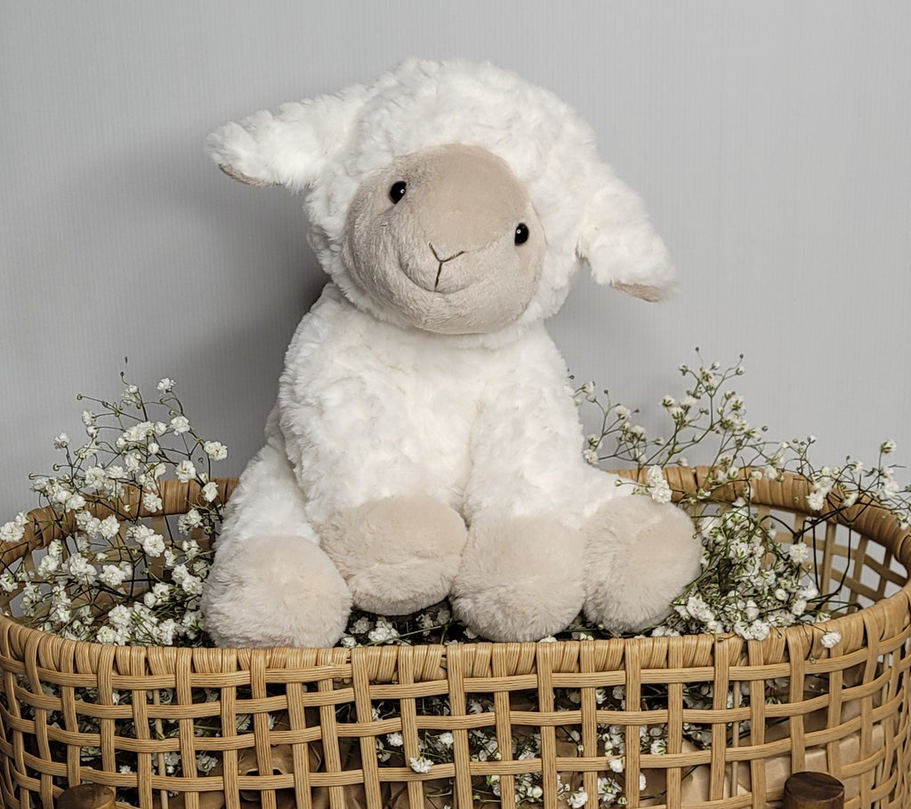 Lulu the Lamb