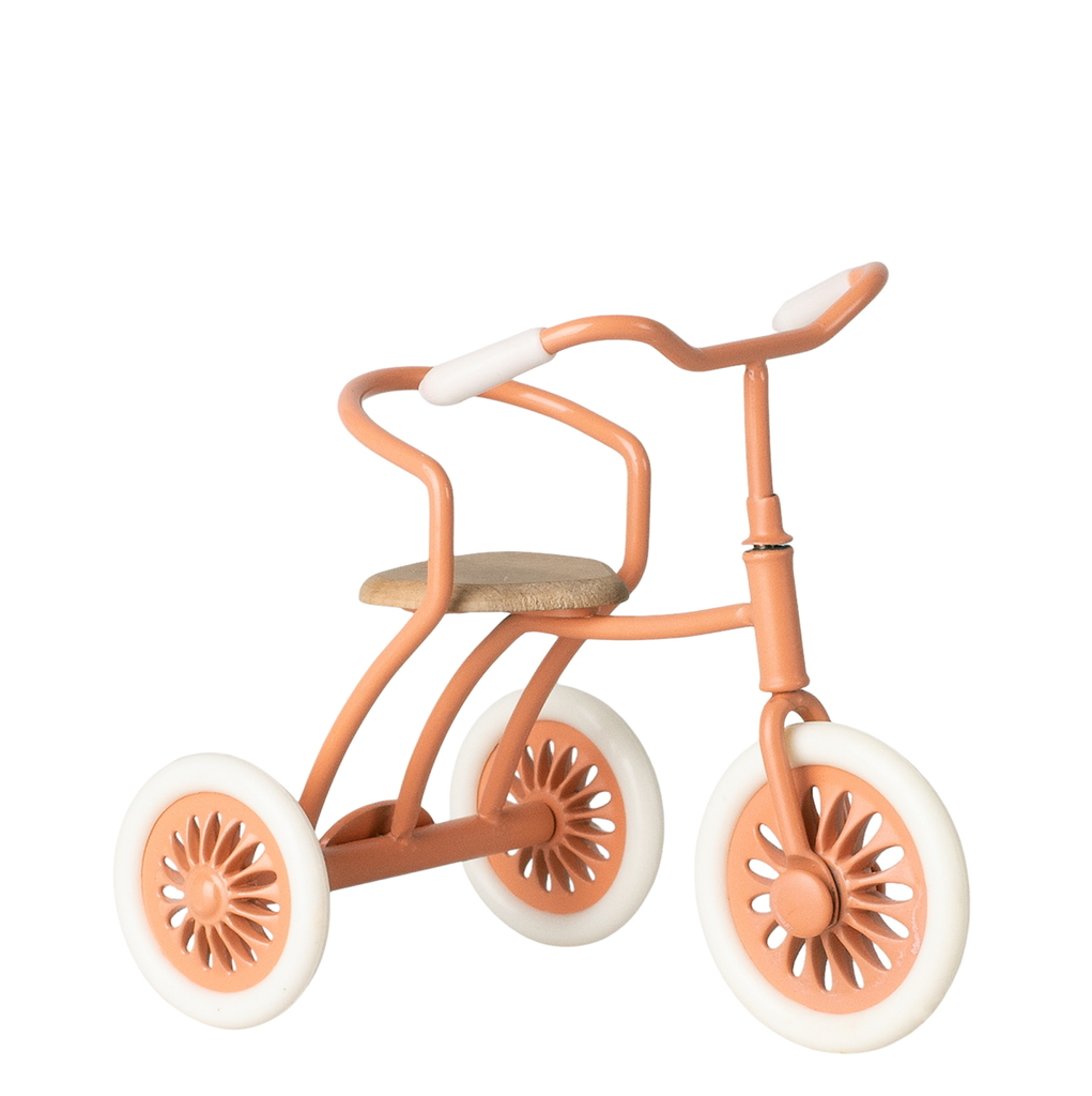 Tricycle for mouse coral & bike basket