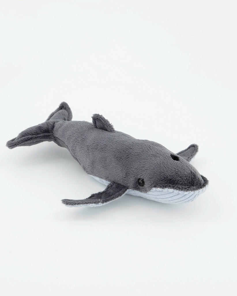 Baby Whale