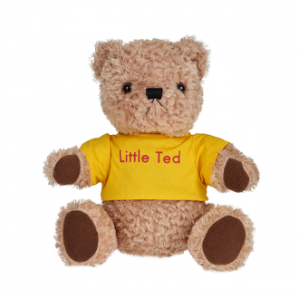 Little Ted Play School (22cm)