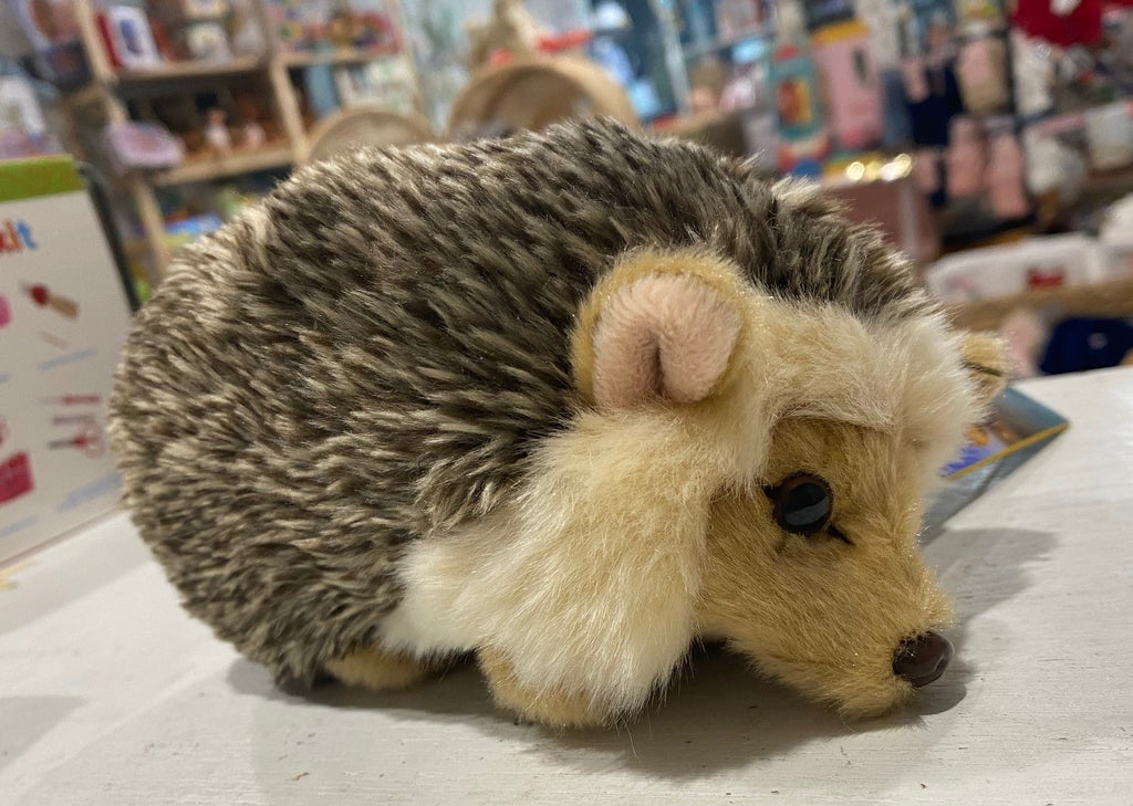 Hedgehog Baby