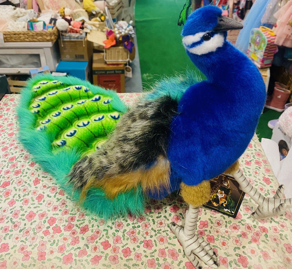 Peacock (24cm)