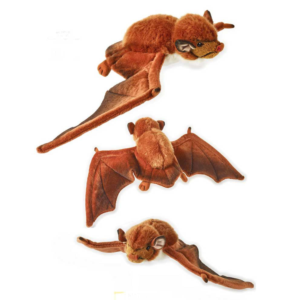 Baby Red Eastern Bat